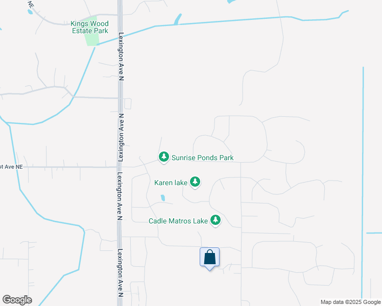 map of restaurants, bars, coffee shops, grocery stores, and more near 13071 Lexington Avenue Northeast in Blaine