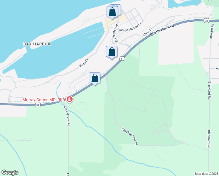 map of restaurants, bars, coffee shops, grocery stores, and more near 115 Crooked Tree Drive in Petoskey