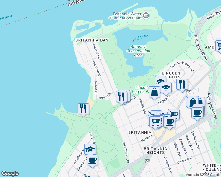 map of restaurants, bars, coffee shops, grocery stores, and more near 202 Britannia Road in Ottawa