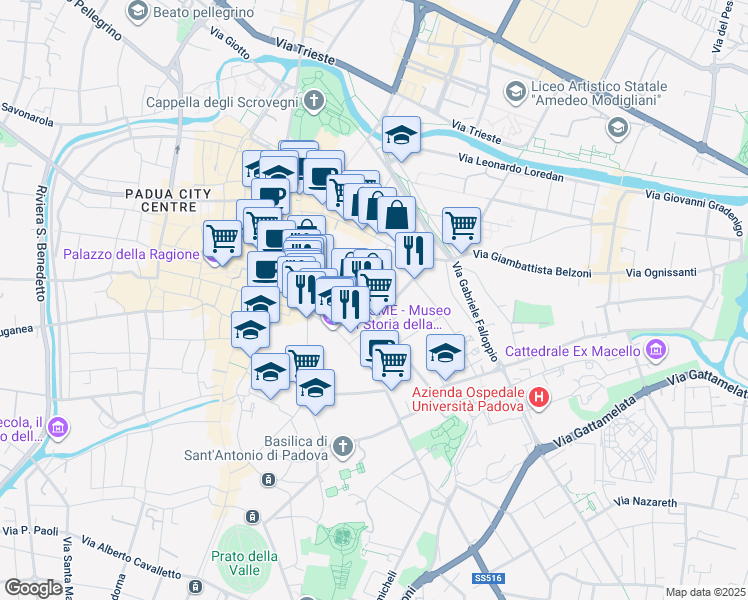 map of restaurants, bars, coffee shops, grocery stores, and more near 43 Via San Biagio in Padova