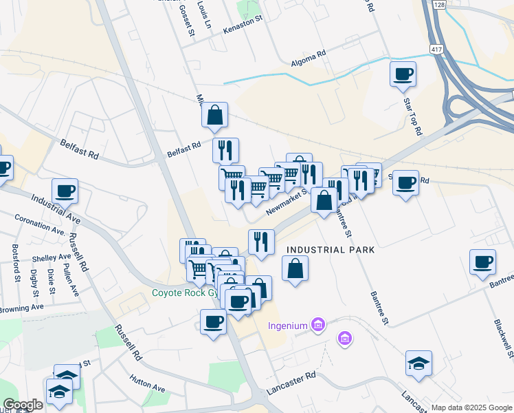 map of restaurants, bars, coffee shops, grocery stores, and more near 1133 Newmarket Street in Ottawa