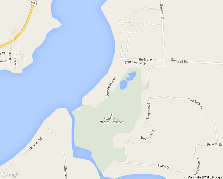 map of restaurants, bars, coffee shops, grocery stores, and more near 6124 Summerside Drive in Alanson