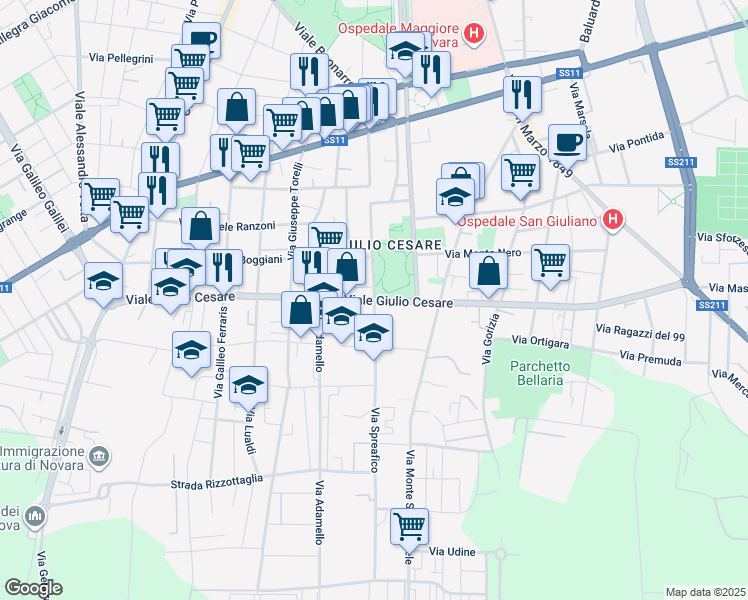 map of restaurants, bars, coffee shops, grocery stores, and more near 202-210 Viale Giulio Cesare in Novara