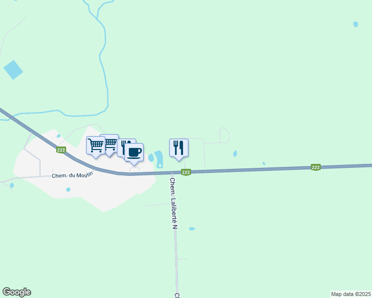 110 Rue de Laverdure, SaintDenisdeBrompton QC Walk Score