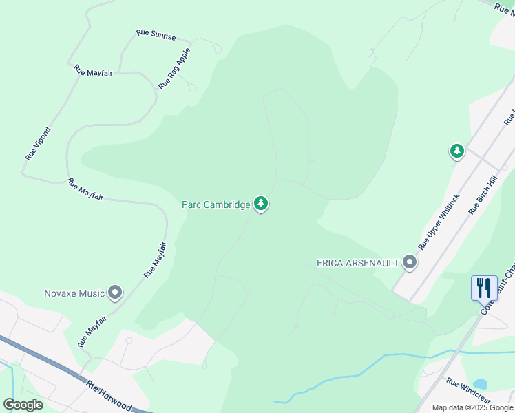 map of restaurants, bars, coffee shops, grocery stores, and more near 51 Rue Cambridge in Hudson