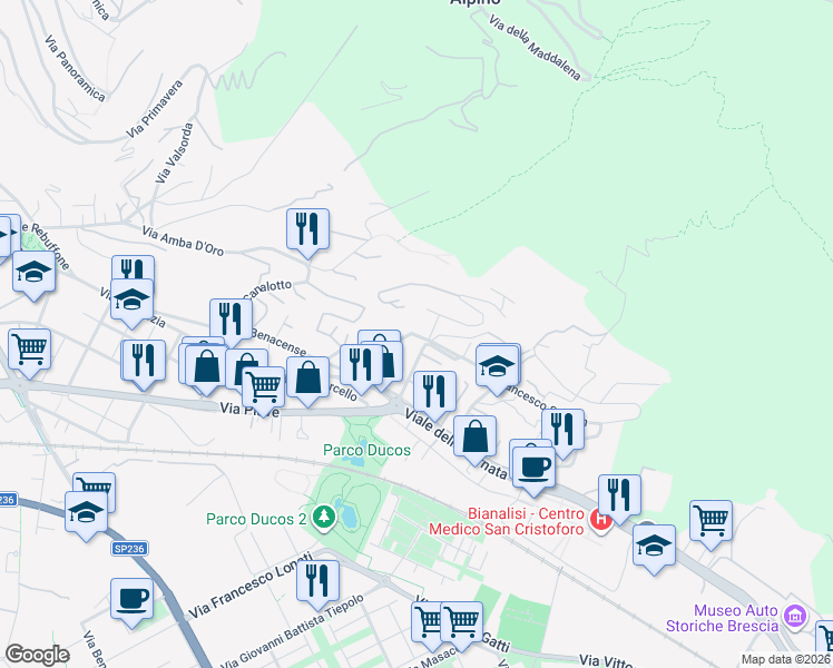 map of restaurants, bars, coffee shops, grocery stores, and more near 25 Via Ronchi di San Francesco da Paola in Brescia