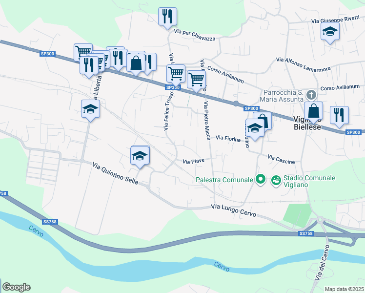 map of restaurants, bars, coffee shops, grocery stores, and more near 4 Via Monte Grappa in Vigliano Biellese