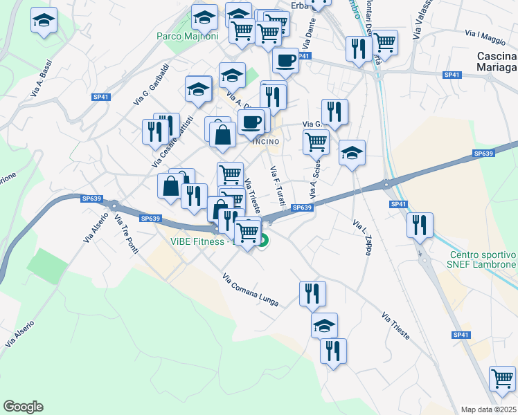 map of restaurants, bars, coffee shops, grocery stores, and more near 22 Via Trieste in Erba