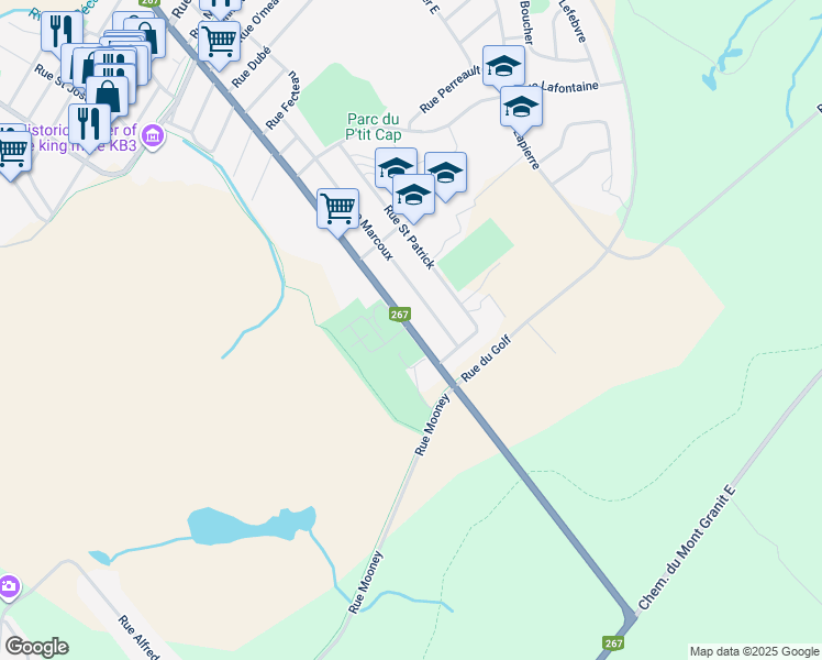 map of restaurants, bars, coffee shops, grocery stores, and more near 734 Rue Saint Alphonse-Sud in Thetford Mines