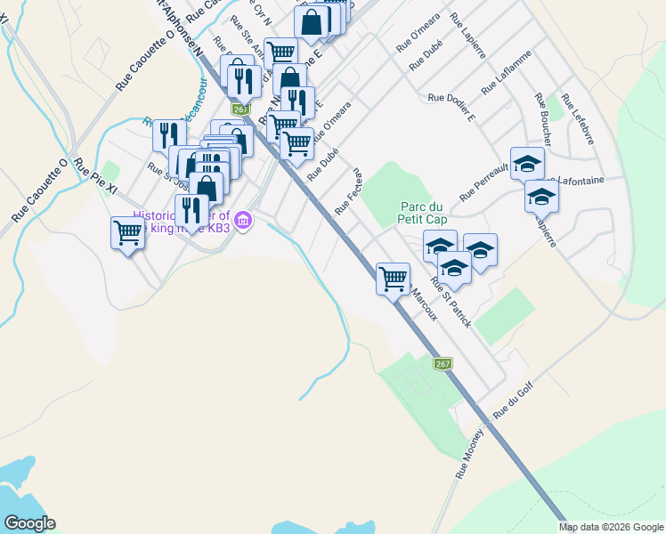 map of restaurants, bars, coffee shops, grocery stores, and more near 84 Rue Lacerte in Thetford Mines