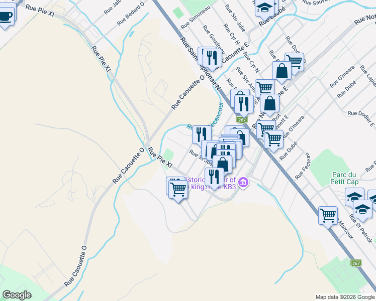 map of restaurants, bars, coffee shops, grocery stores, and more near 205 Rue Saint Joseph Nord in Thetford Mines