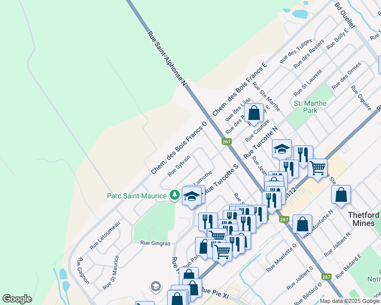 map of restaurants, bars, coffee shops, grocery stores, and more near 133 Rue Sylvain in Thetford Mines