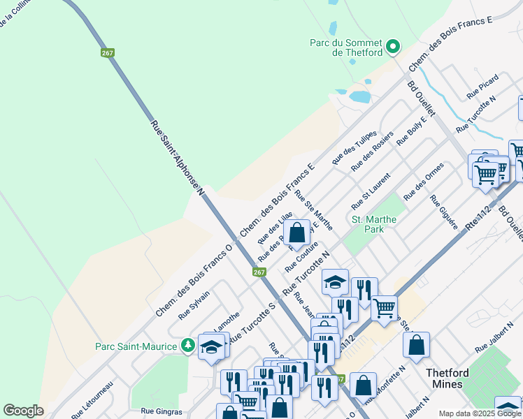 map of restaurants, bars, coffee shops, grocery stores, and more near 137 Chemin des Bois Francs Est in Thetford Mines