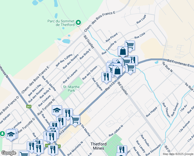 map of restaurants, bars, coffee shops, grocery stores, and more near 595 Rue des Érables in Thetford Mines