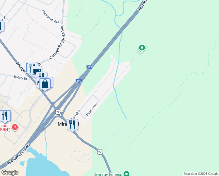 map of restaurants, bars, coffee shops, grocery stores, and more near Patnic Avenue in Sydney