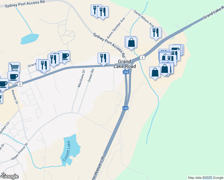 map of restaurants, bars, coffee shops, grocery stores, and more near 64 Walters Lane in Sydney