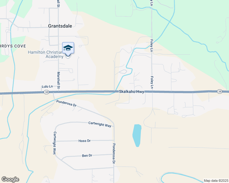 map of restaurants, bars, coffee shops, grocery stores, and more near 317 Skalkaho Highway in Hamilton