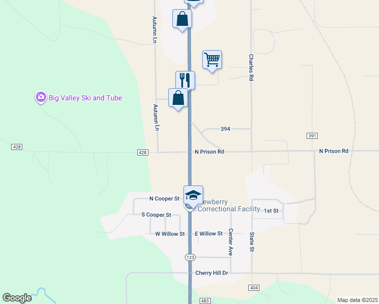 map of restaurants, bars, coffee shops, grocery stores, and more near Newberry Avenue in Newberry