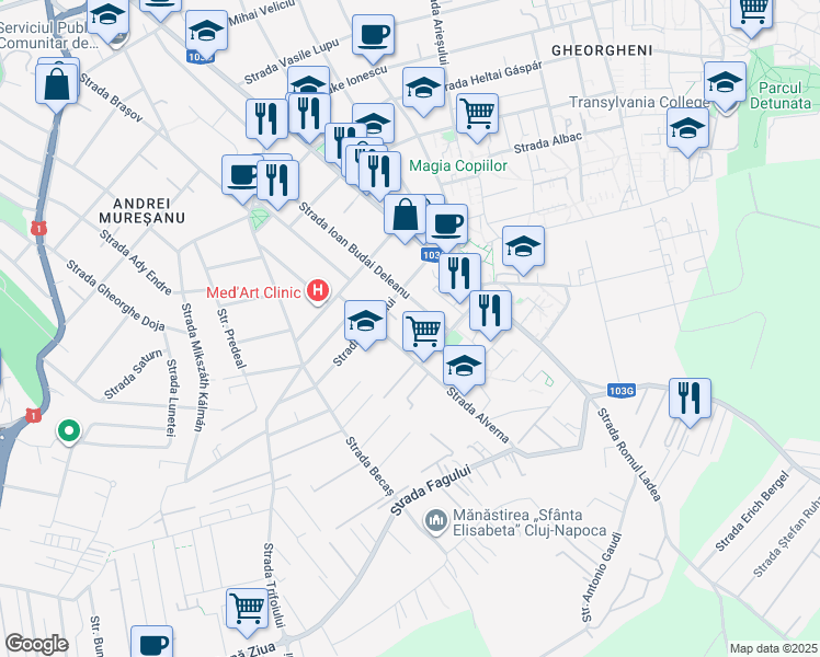 map of restaurants, bars, coffee shops, grocery stores, and more near in Cluj-Napoca