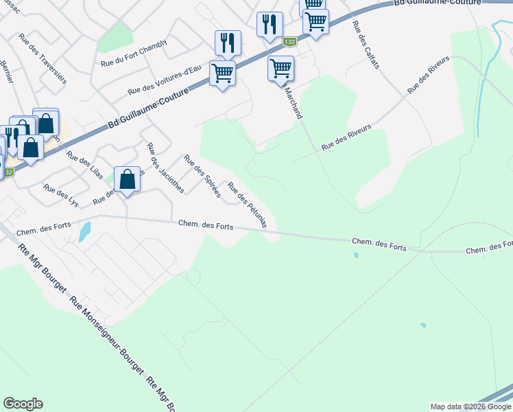 map of restaurants, bars, coffee shops, grocery stores, and more near 173 Rue des Pétunias in Lévis