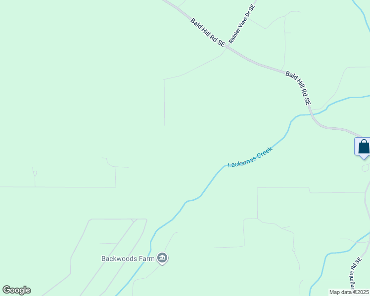 map of restaurants, bars, coffee shops, grocery stores, and more near 19916 161 Way Southeast in Yelm