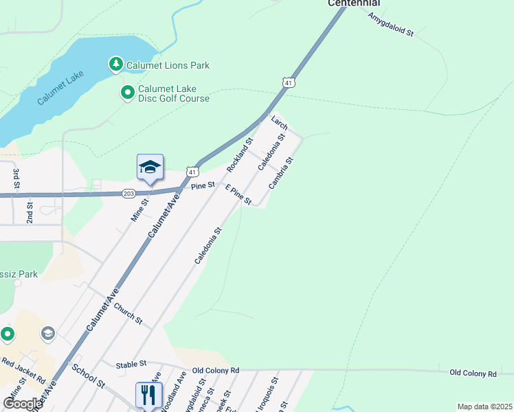 map of restaurants, bars, coffee shops, grocery stores, and more near 846 Cambria Street in Calumet