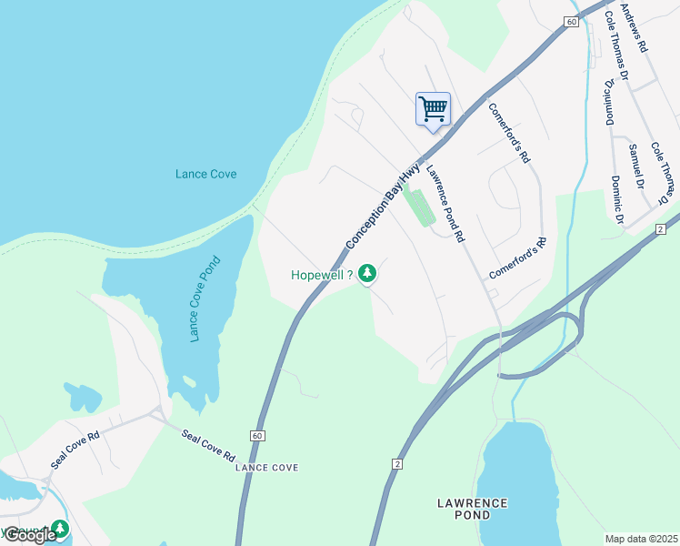 map of restaurants, bars, coffee shops, grocery stores, and more near 4 Hopewell Gardens in Conception Bay South