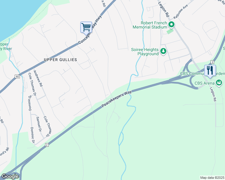 map of restaurants, bars, coffee shops, grocery stores, and more near 93 Forest Road in Conception Bay South