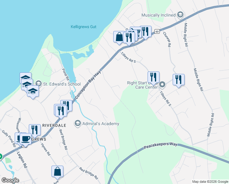 map of restaurants, bars, coffee shops, grocery stores, and more near 21 Ledrews Road in Conception Bay South