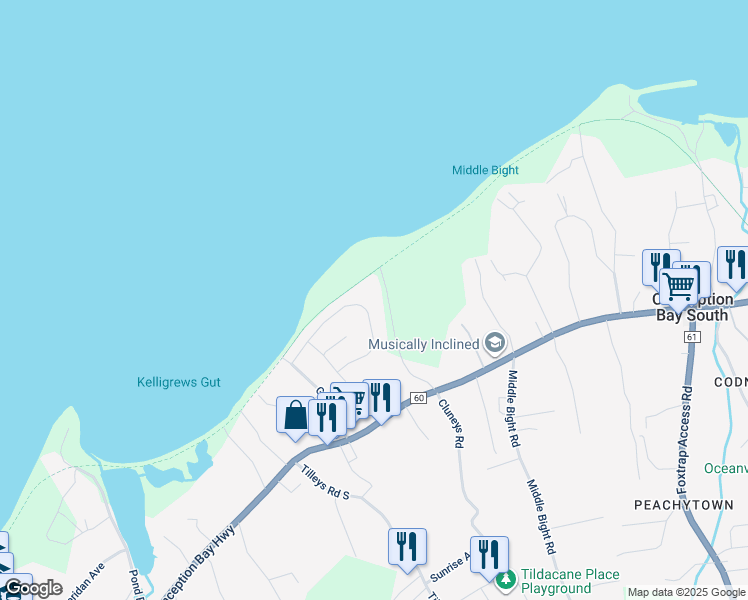 map of restaurants, bars, coffee shops, grocery stores, and more near 51 Harveys Path in Conception Bay South
