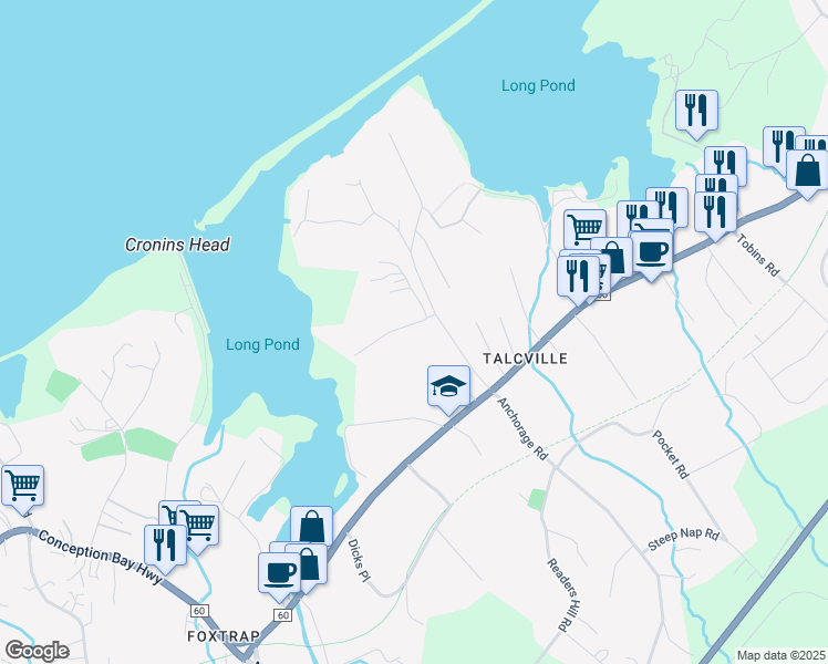map of restaurants, bars, coffee shops, grocery stores, and more near 9 Bairds Lane in Conception Bay South