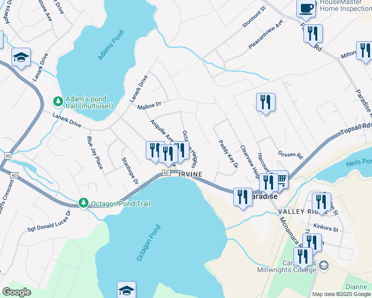 map of restaurants, bars, coffee shops, grocery stores, and more near 11 Octagon Heights in Paradise