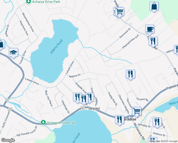 map of restaurants, bars, coffee shops, grocery stores, and more near in Paradise