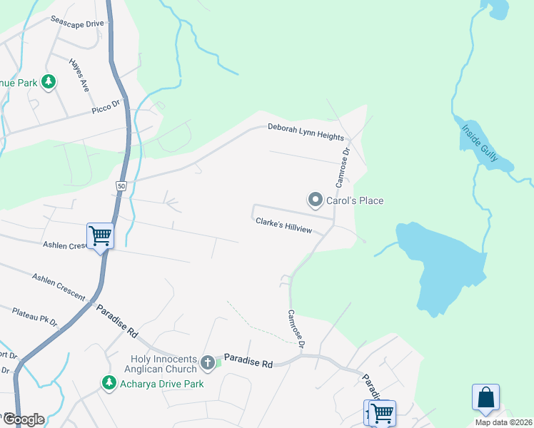 31 Clarke's Hillview, Paradise NL Walk Score