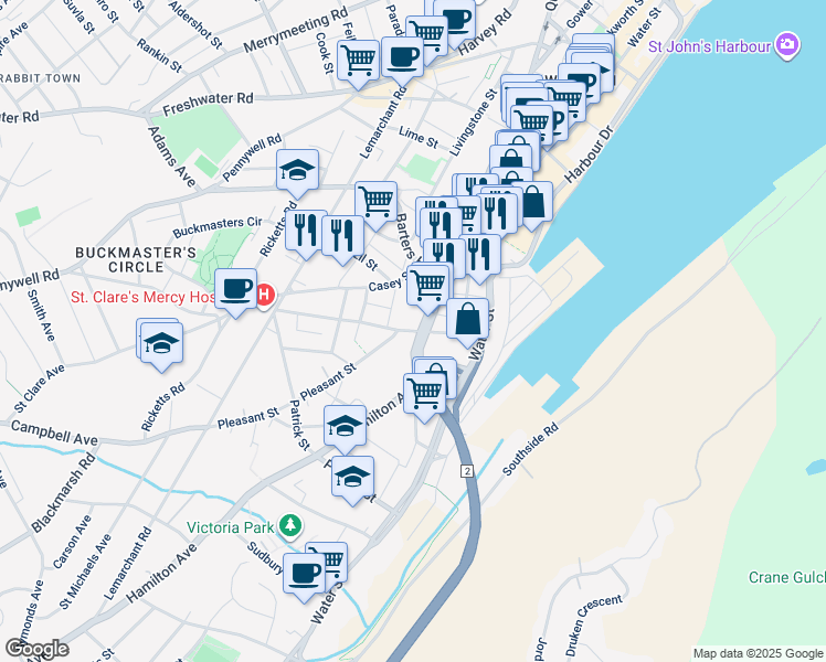 56 Springdale Street, St. John's NL Walk Score