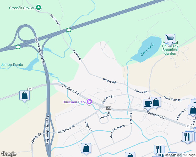 map of restaurants, bars, coffee shops, grocery stores, and more near 141 Groves Road in St. John's