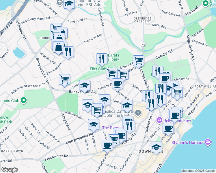 39 Fleming Street, St. John's NL Walk Score