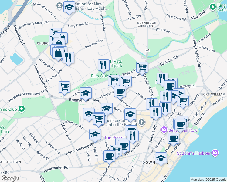 30 Fleming Street, St. John's NL Walk Score