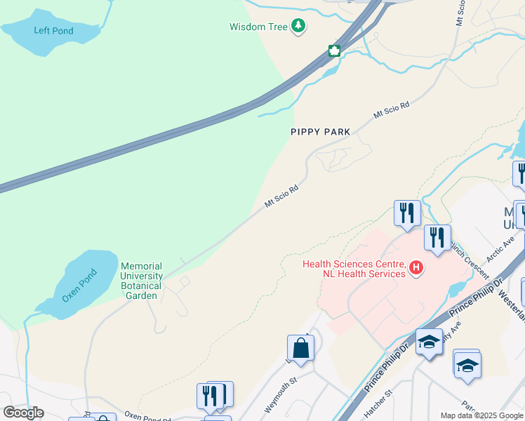 map of restaurants, bars, coffee shops, grocery stores, and more near 207 Mount Scio Road in St. John's