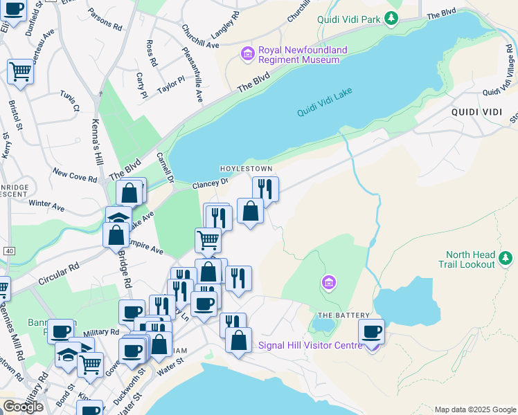 map of restaurants, bars, coffee shops, grocery stores, and more near 106 Forest Road in St. John's