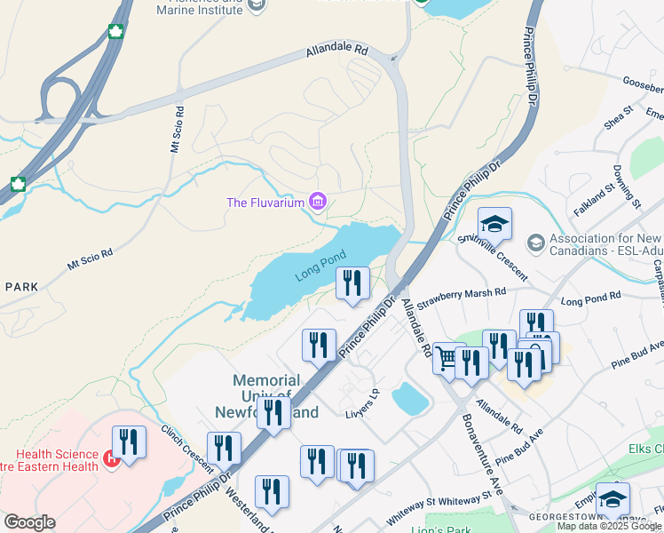 map of restaurants, bars, coffee shops, grocery stores, and more near in St. John's