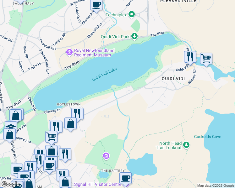 map of restaurants, bars, coffee shops, grocery stores, and more near 177 Forest Road in St. John's
