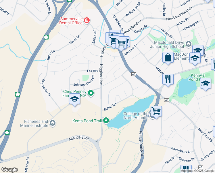 map of restaurants, bars, coffee shops, grocery stores, and more near 29 London Road in St. John's