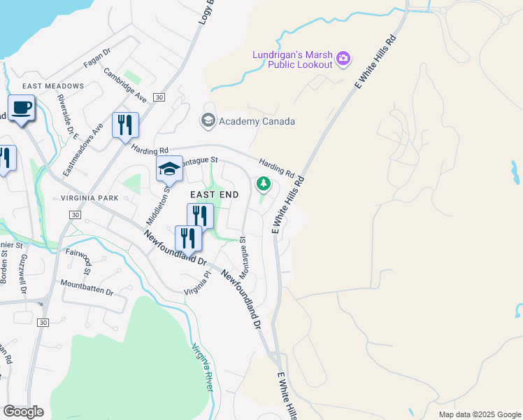 map of restaurants, bars, coffee shops, grocery stores, and more near 136 Watson Street in St. John's