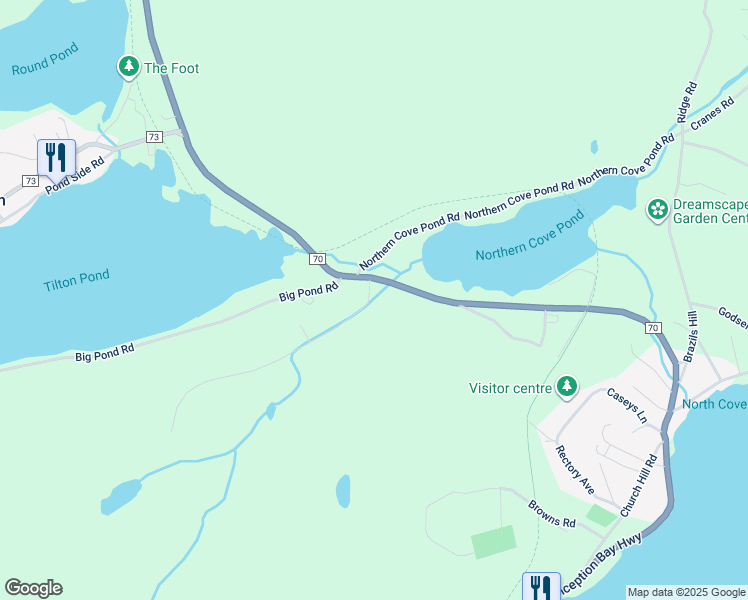 3 Chipman Road, Spaniard's Bay NL Walk Score