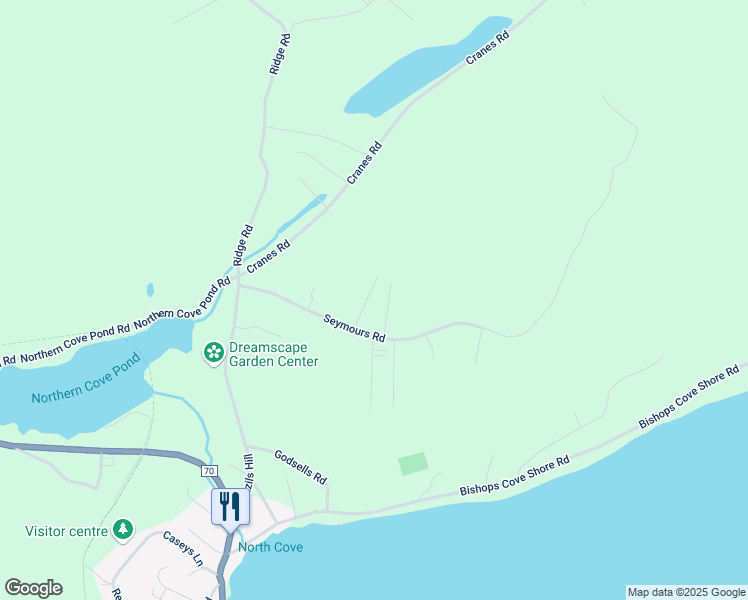 map of restaurants, bars, coffee shops, grocery stores, and more near 16 Carrolls Road in Upper Island Cove