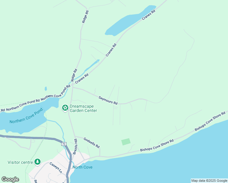 map of restaurants, bars, coffee shops, grocery stores, and more near 16 Carrolls Road in Upper Island Cove