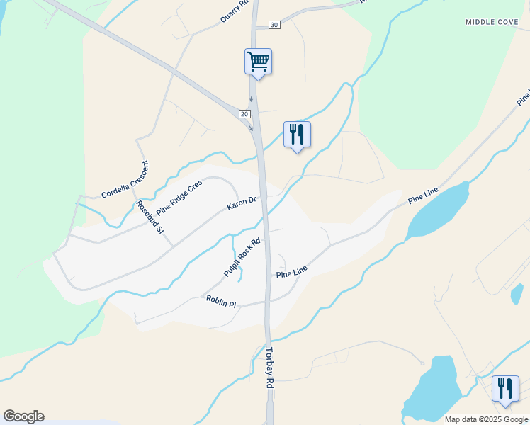 map of restaurants, bars, coffee shops, grocery stores, and more near Torbay Road in Division No. 1