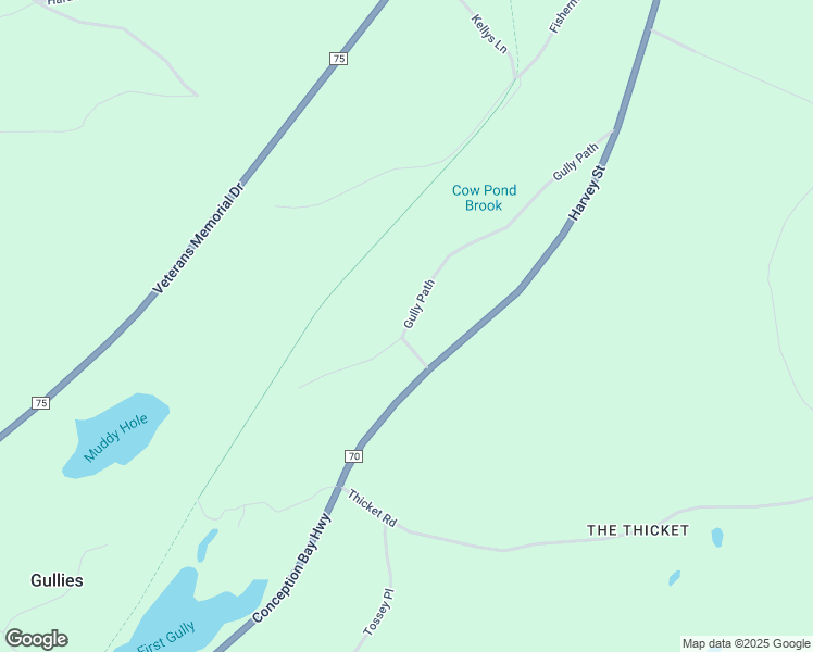 map of restaurants, bars, coffee shops, grocery stores, and more near 72 Gully Path in Harbour Grace