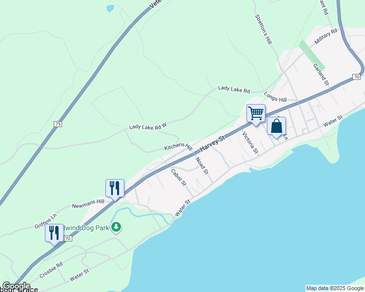 9 Kitchens Hill, Harbour Grace NL Walk Score